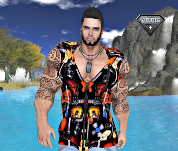 [D.Cavalieri] - Hoodie Guitar - Fitted mesh