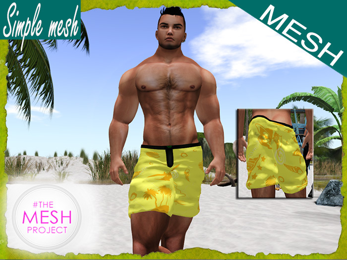 SM Beach Shorts (Demo)