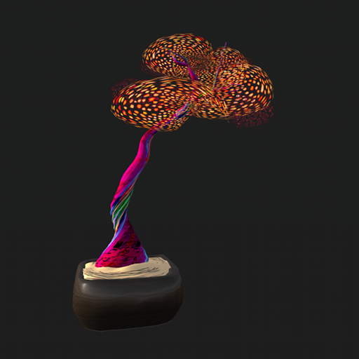 68th Ancient One bonsai
