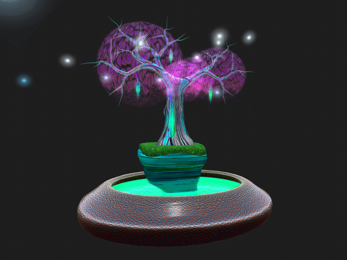 The Midnight Maple Bonsai 