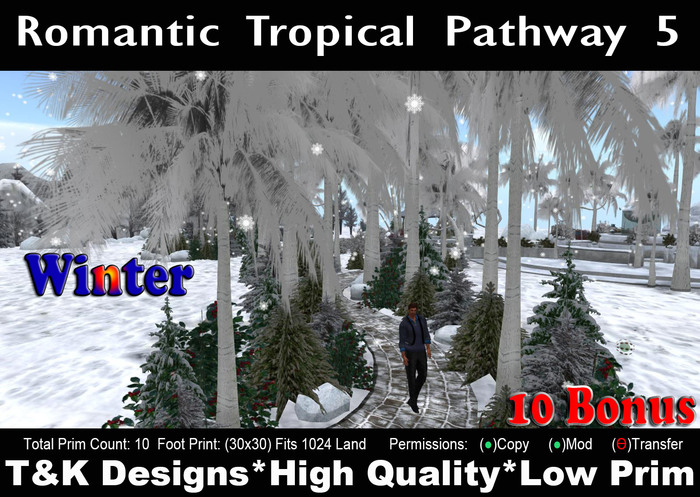 Pathway Winter Romantic Tropical v5(28x28)10PCM1499 T&K Designs