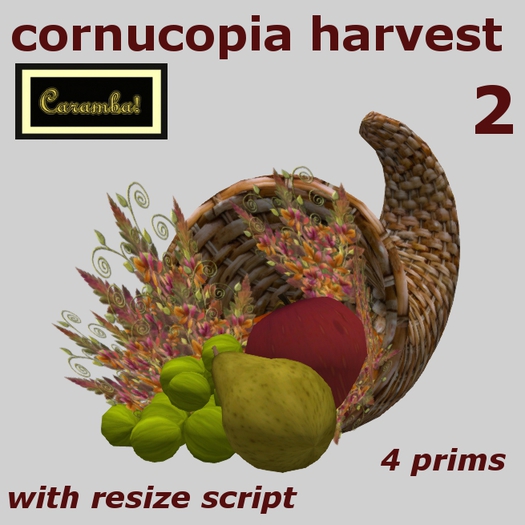 Cornucopia harvest 2