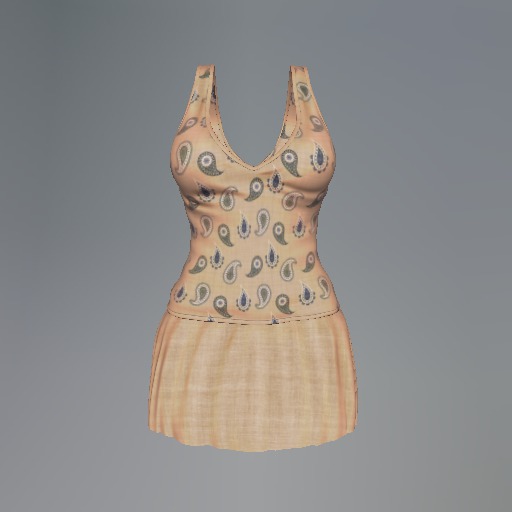 Ivory Paisley Mesh Dress box
