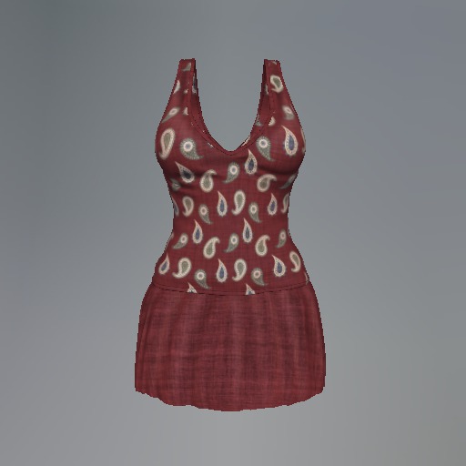 Wine Paisley Mesh Dress box