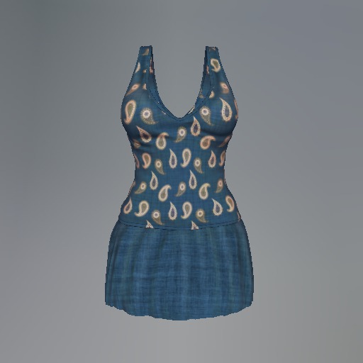 Blue Paisley Mesh Dress box