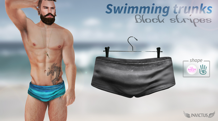 INVICTUS - Swimming trunks  TMP / SL shape   -  Grey stripes