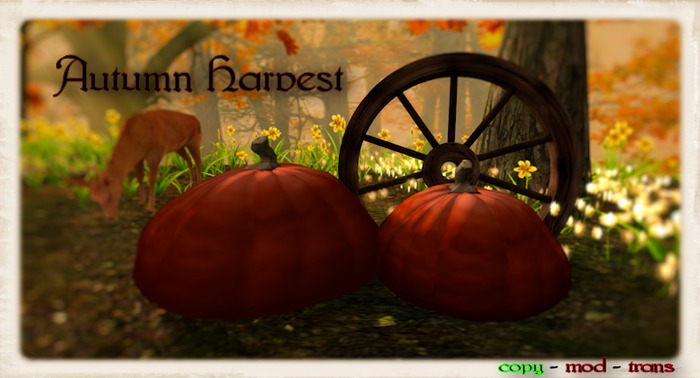 Autumn Harvest