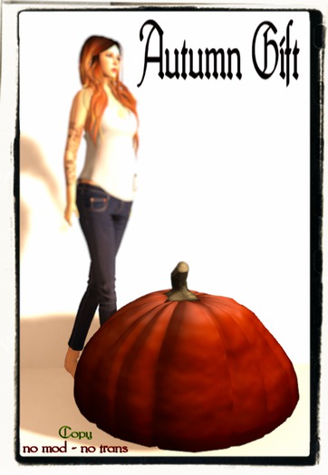 Pumpkin 1