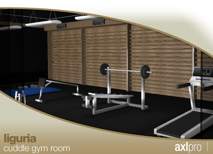 AXL pro Box - Liguria Cuddle Gym Room