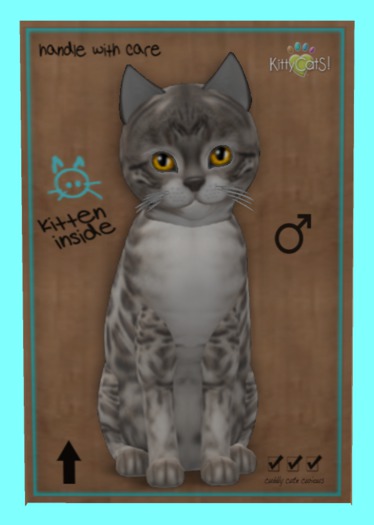 KittyCatS Box - Bengal - Snow