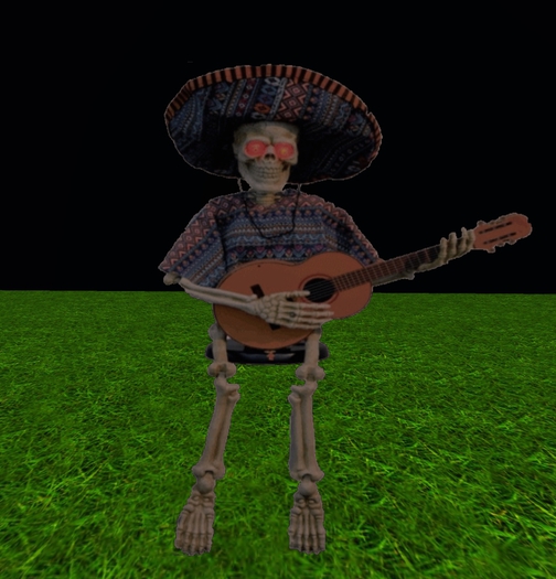Mexican skull