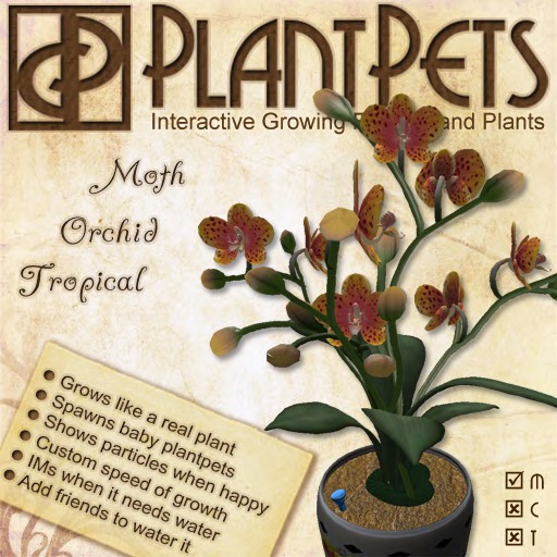 PlantPet Seed [Agapanthus *Red*]