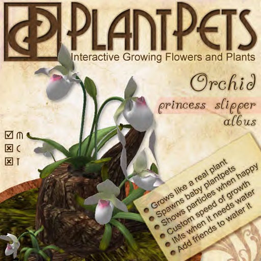 PlantPet Seed [Agapanthus *Red*]