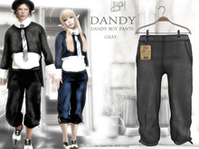 !gO! Dandy Boy pants - Gray