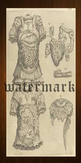 SWE Poster - Medieval Anatomy Intestines