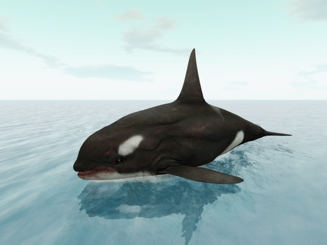 MESH KILLER ORKA