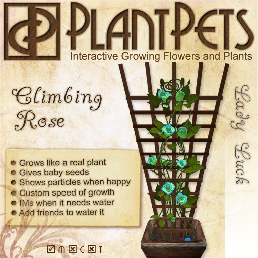 PlantPet Seed [Climbing Rose *Lady Luck*]