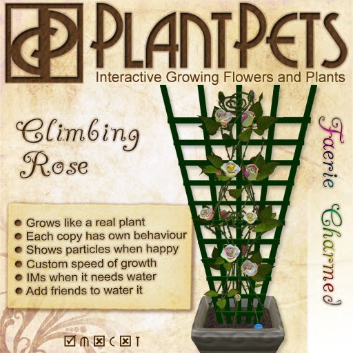 PlantPet Seed [Climbing Rose *Faerie Charmed*]