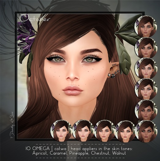 [7DS] - Omega HEAD applier - October DEMO