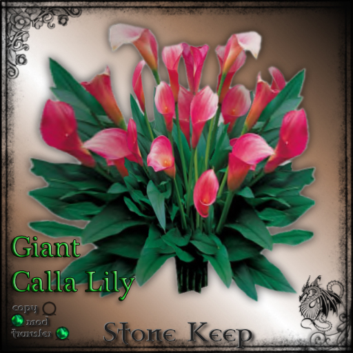 [SK] Giant Calla Lily