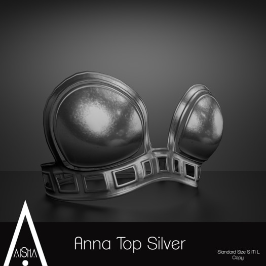 .AiShA. Anna Top Silver