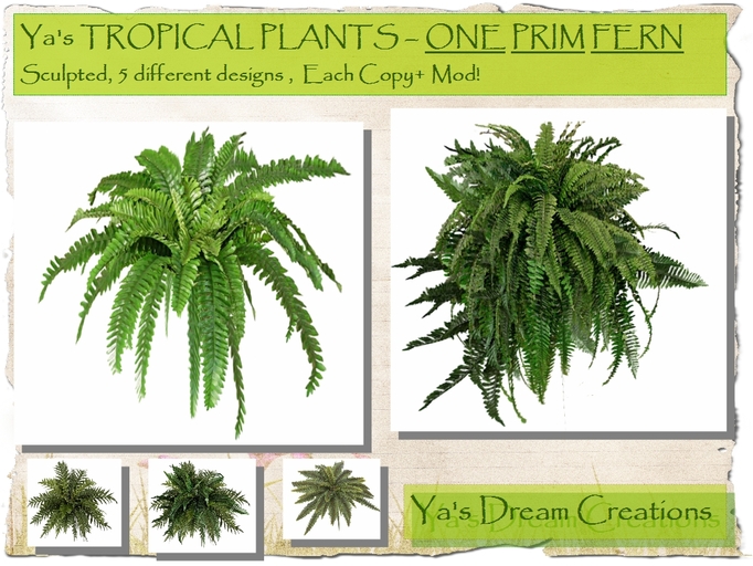 *Ya's* Sculpted Fern - 5 diff. styles - each ONE Prim / Copy+Mod !