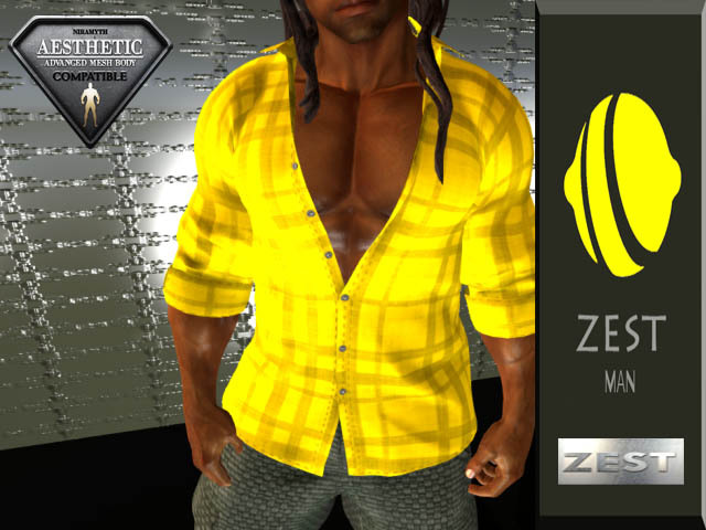 ZEST MAN check yellow shirt boxed
