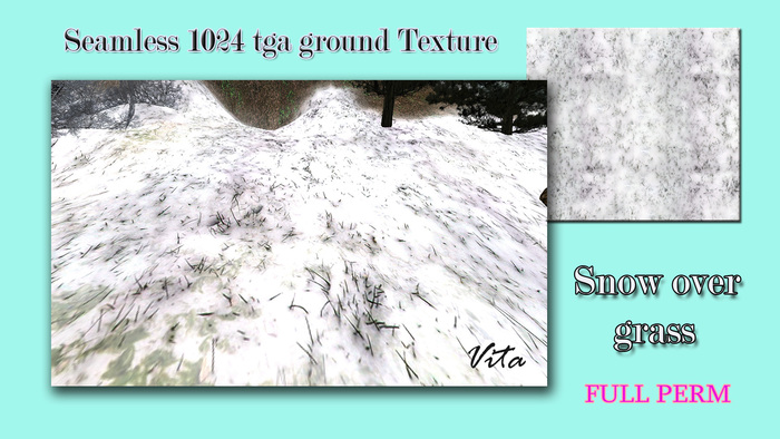 Seamless Ground Texture 1024 TGA SNOW GRASS
