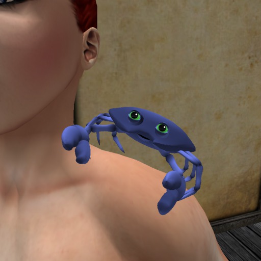 (7S) Uncommon Stuff: Blue Crab Shoulder Pet