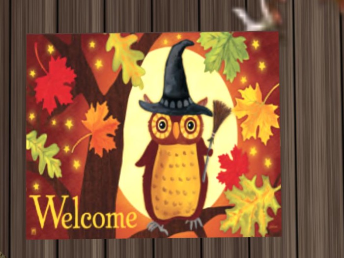 OD Welcome Owl Rug halloween fall
