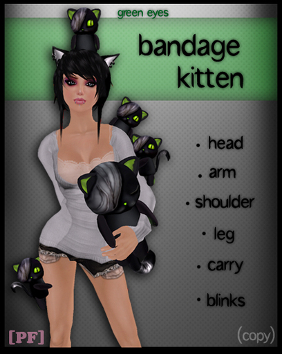 [PF] Bandaged Kitten- Green Eyes 