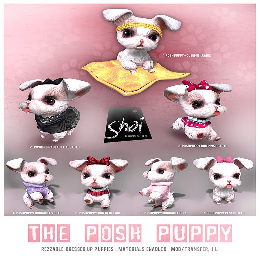 *Shai*  The Posh Puppy Set