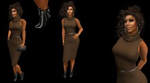 BD Brown long Neck Sleeveless Dress