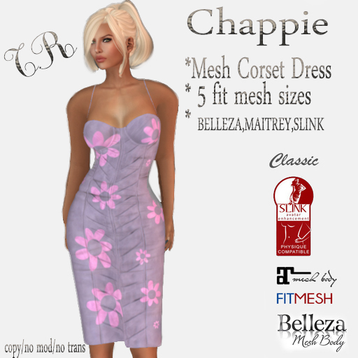 TRES RISQUE Corset Dress 1