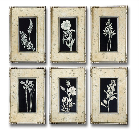 B&W Wild Flowers