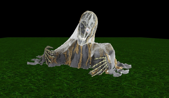 ZOMBIE SKULL