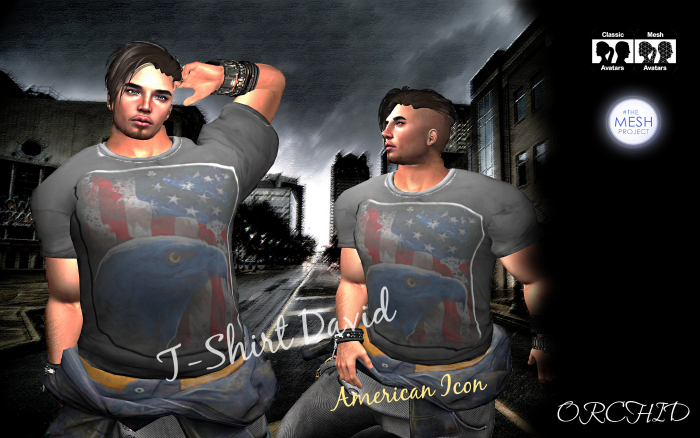 T-Shirt David American Icon