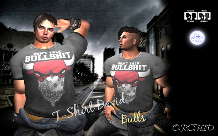 T-Shirt David Bulls