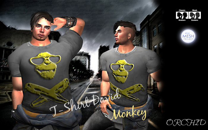 T-Shirt David Monkey