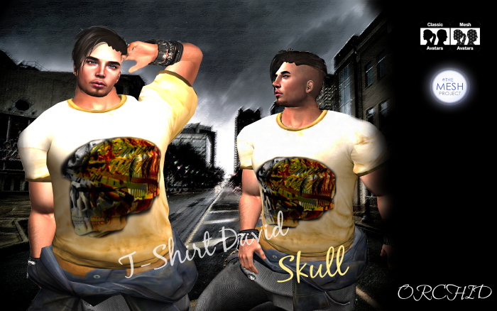 T-Shirt David Skull