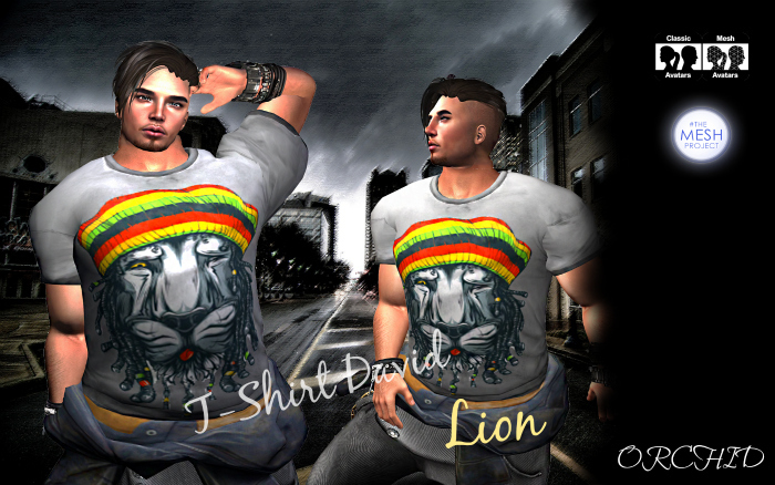 T-Shirt David Lion