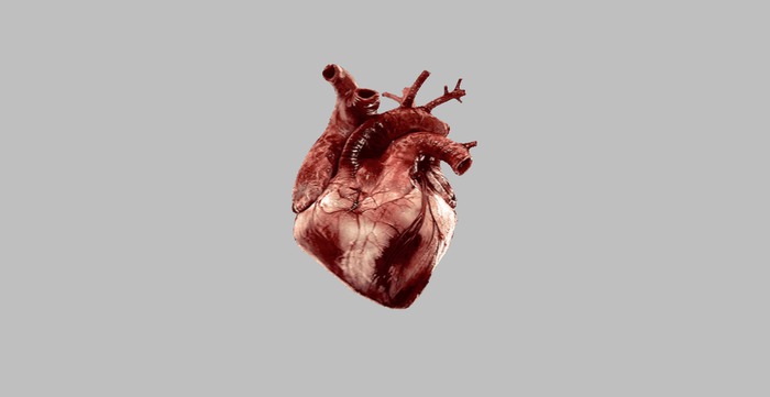 Gif - Animation 001