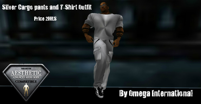 [OI] Silver Outfit