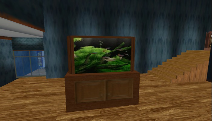 oak aquarium