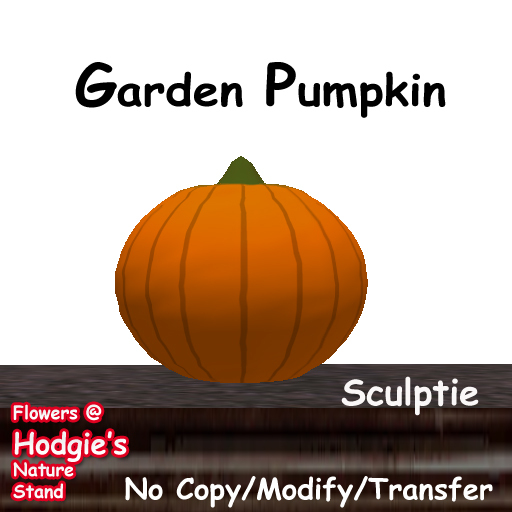 Fall Autumn Halloween Sculptie Pumpkin