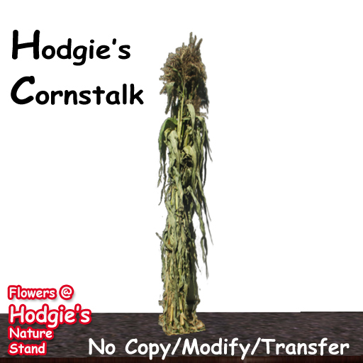 Hodgie's Fall & Autumn Halloween Cornstalk (1 Prim)