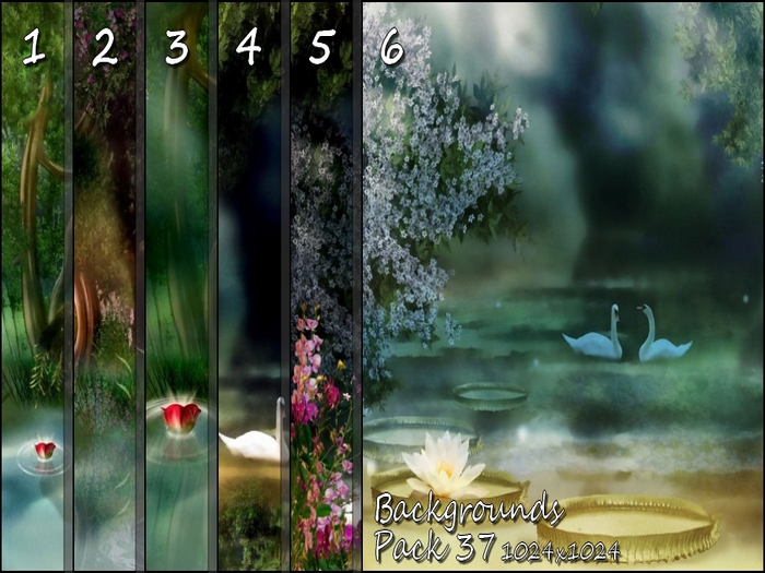 MONOMANIA - BackGrounds - Pack 37
