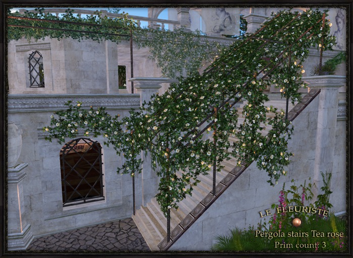 F*PergolaStairsTea