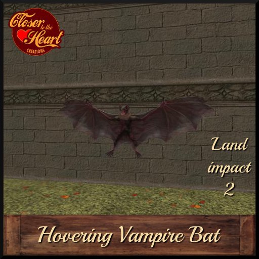 Hovering Vampire Bat
