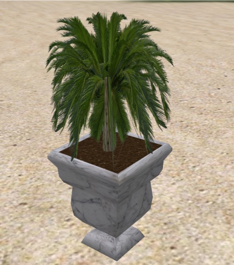Pied Piper Palm In Marble Planter